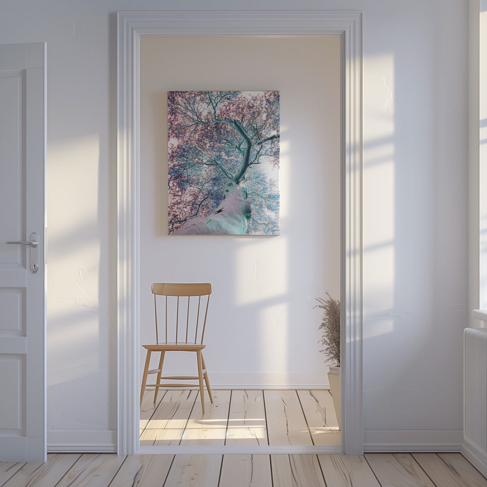 Dreamscape Canopy | Canvas