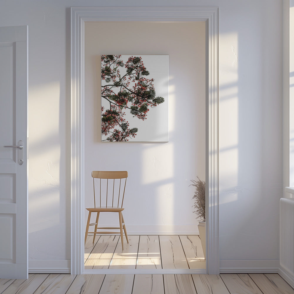 Blossom Canopy | Canvas