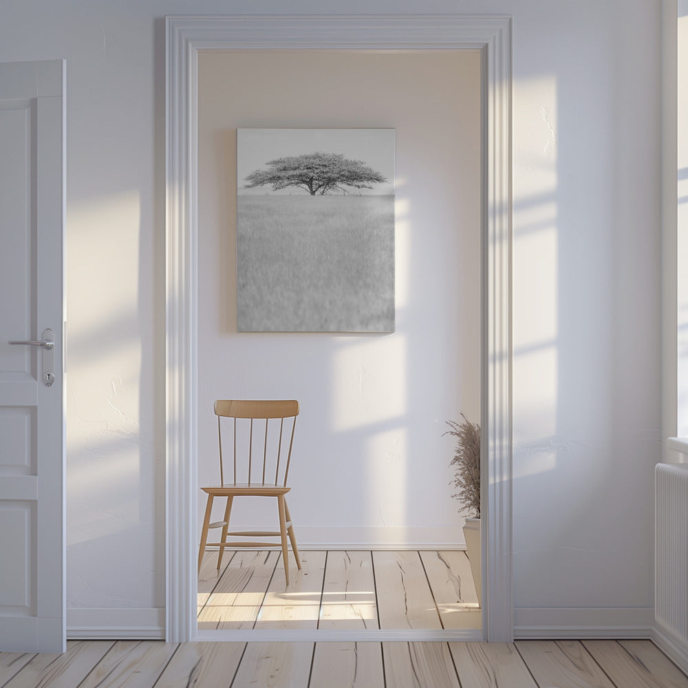 Lone Acacia Dream | Canvas