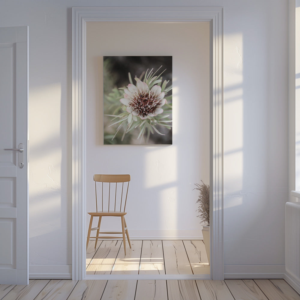 Desert Bloom Halo | Canvas