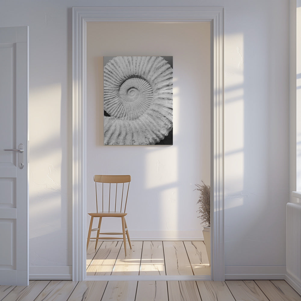 Ancient Spiral Dreams | Canvas