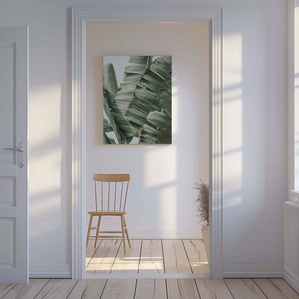 Banana Leaf Harmony | Canvas