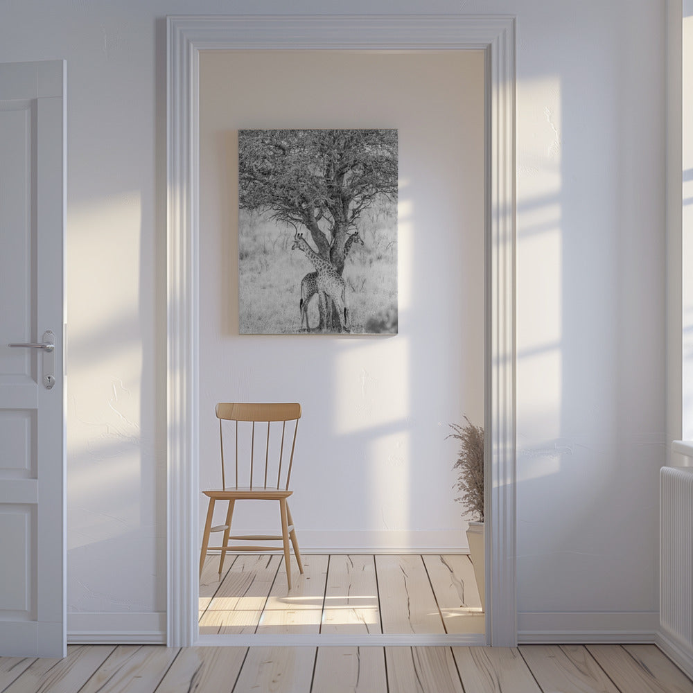 Under African Skies | Canvas