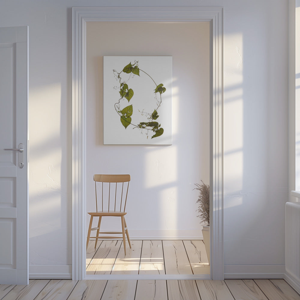 Leafy Circle Dance | Canvas