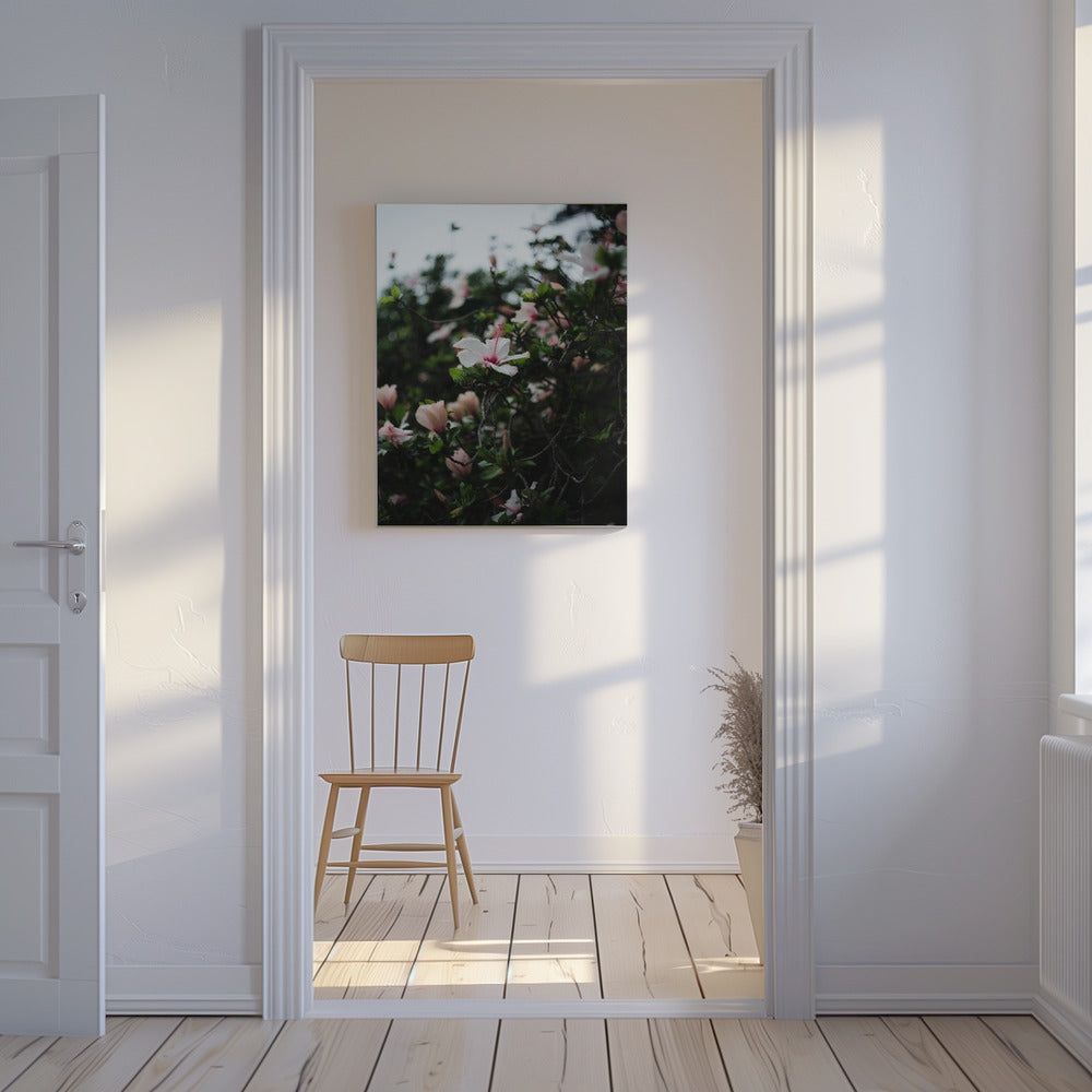 Blossoms in Bloom | Canvas