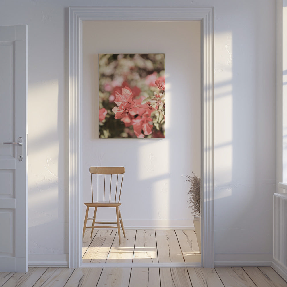 Petals in Focus | Canvas