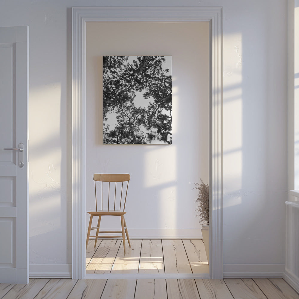 Canopy Symphony | Canvas