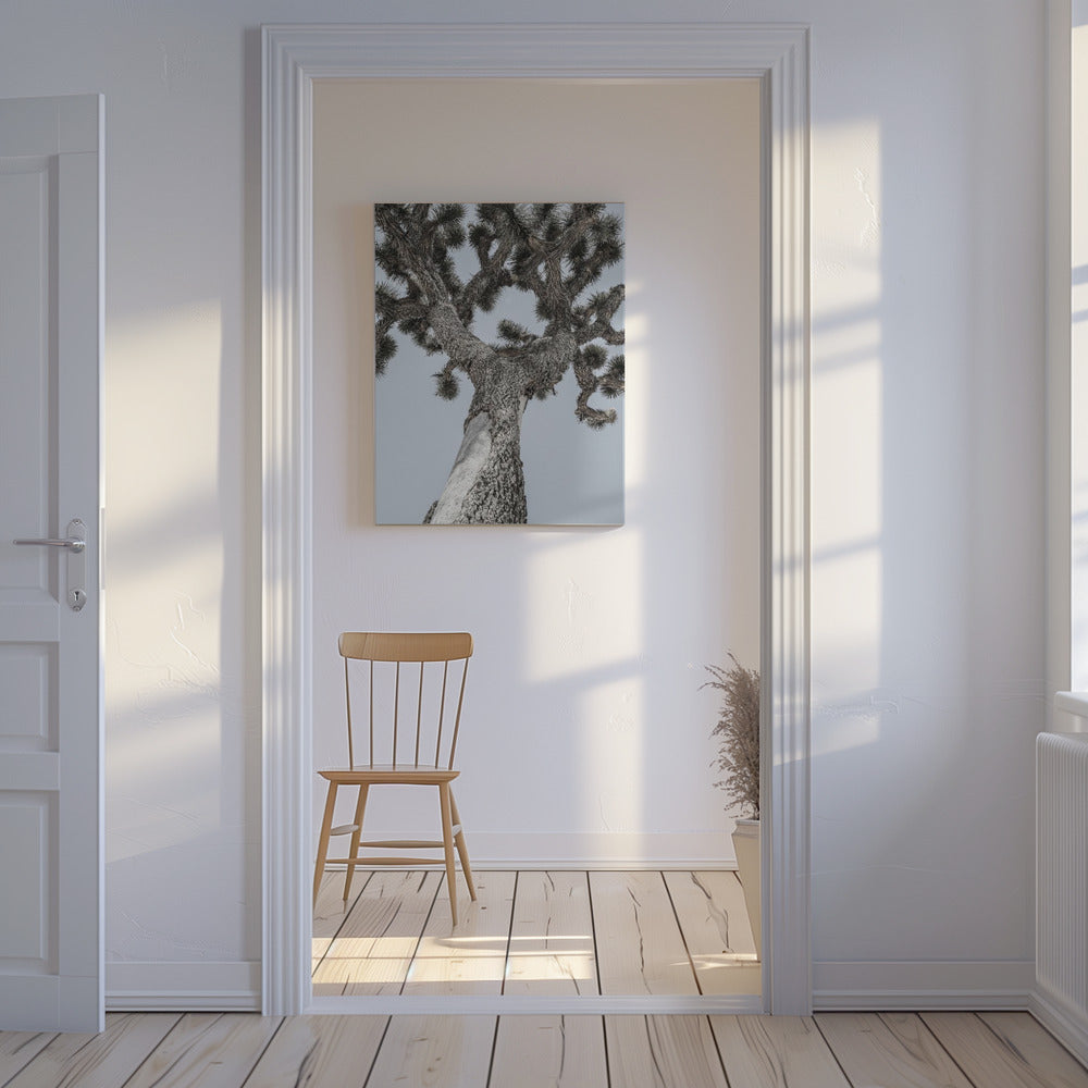 Twisting Desert Giant | Canvas