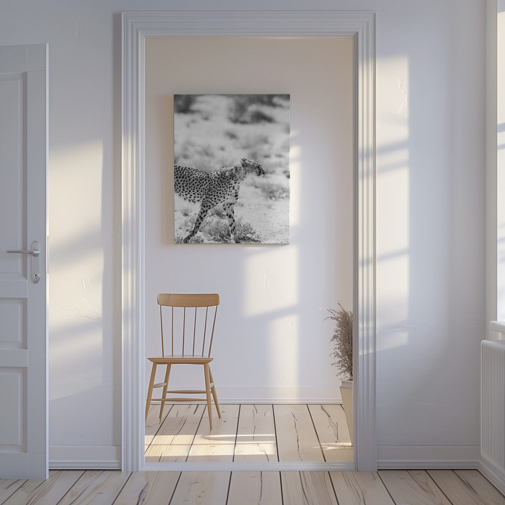 Cheetah&#039;s Grace | Canvas