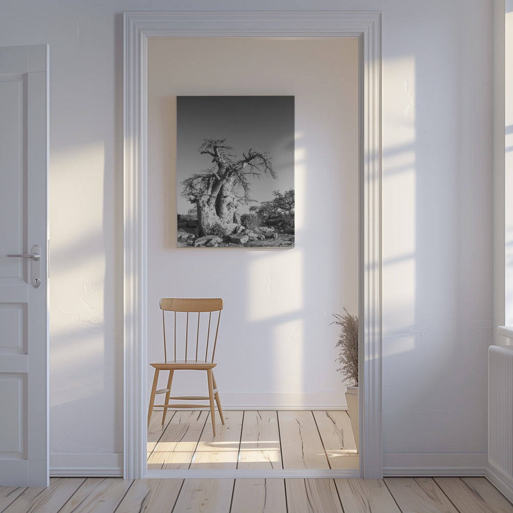 Ancient Sentinel | Canvas