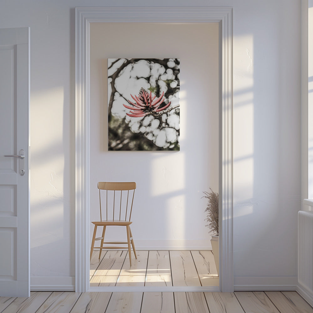 Crimson Blossom | Canvas