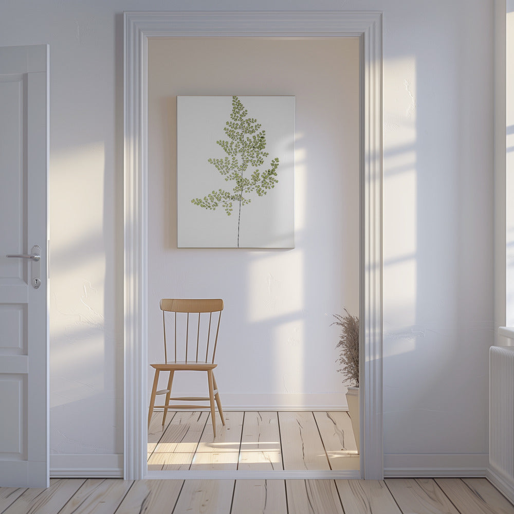 Fern Elegance | Canvas