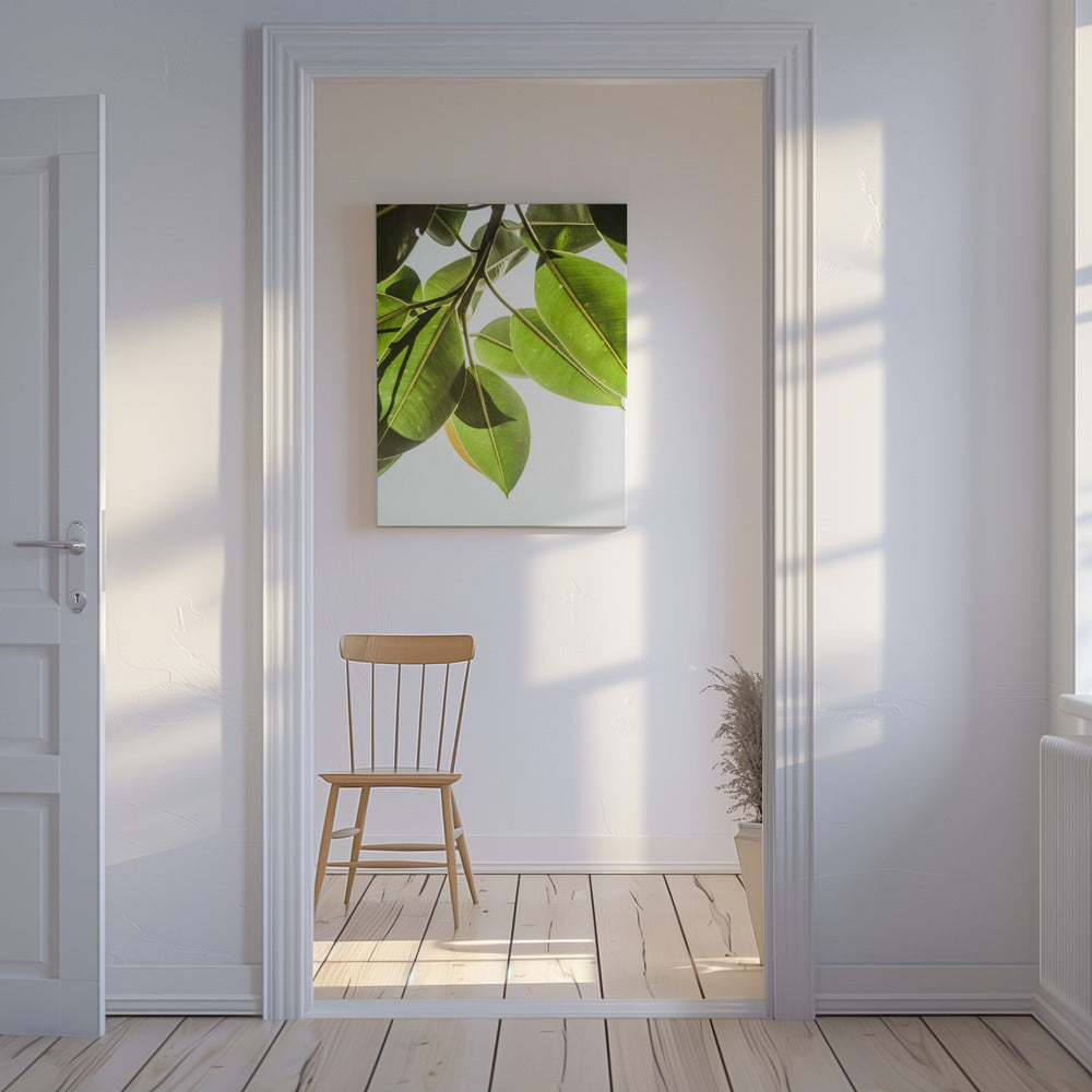 Sunlit Leaves | Canvas