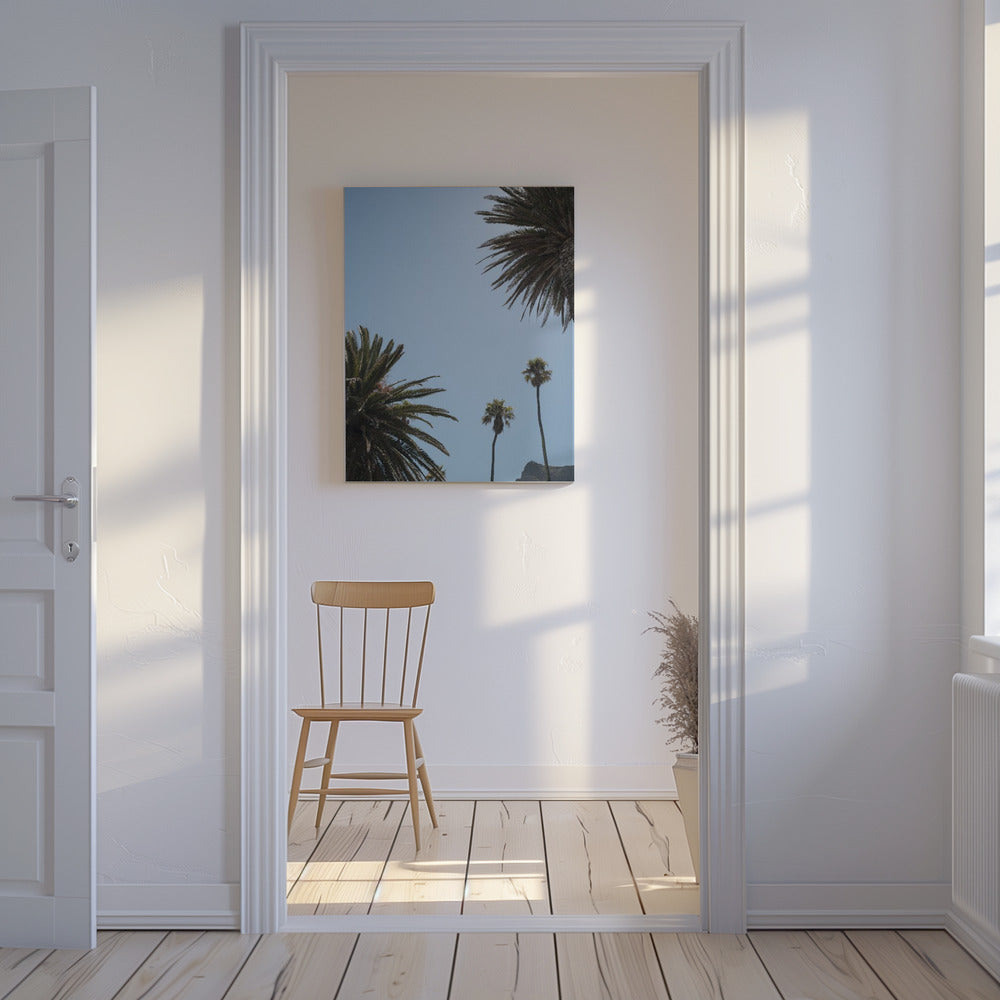 Sunny Palm Heights | Canvas