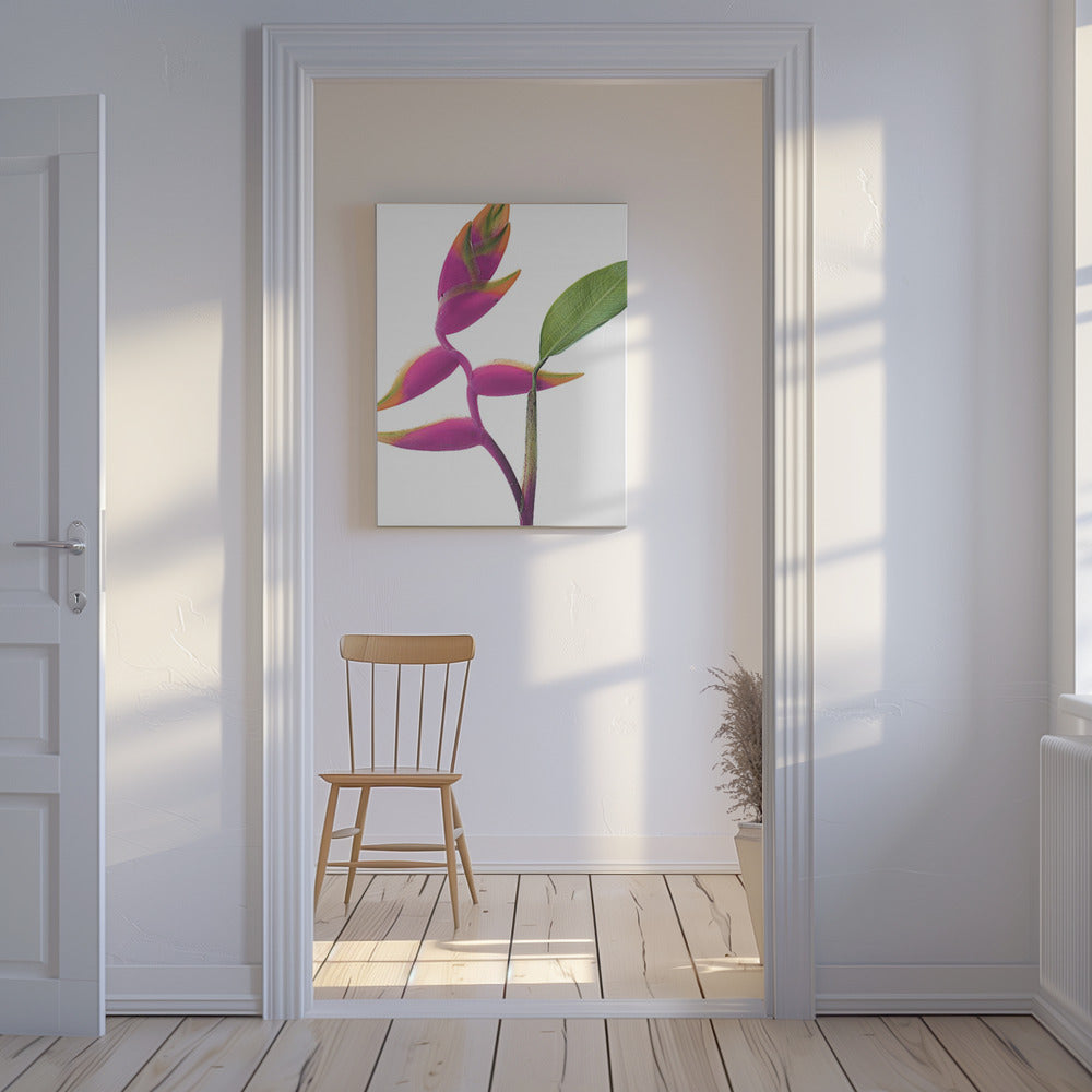 Tropical Elegance | Canvas