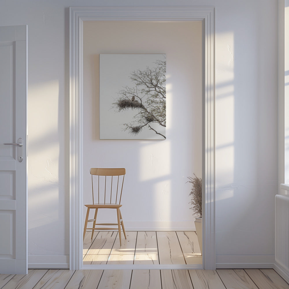 Owl&#039;s Perch | Canvas