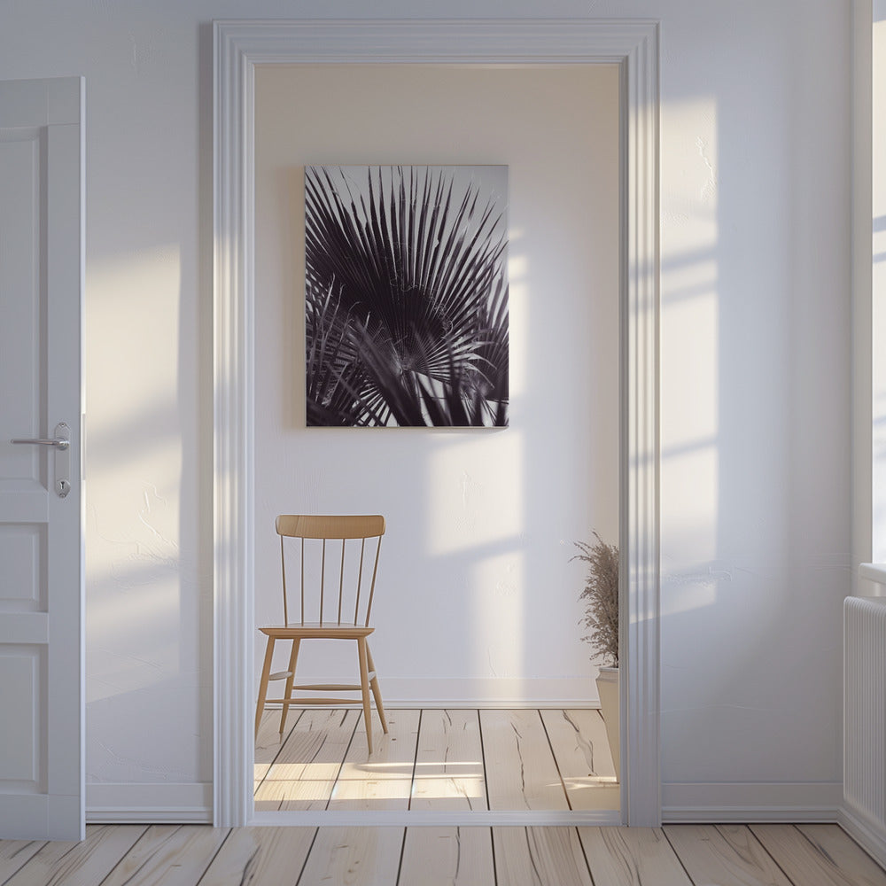 Palm Whisperings | Canvas