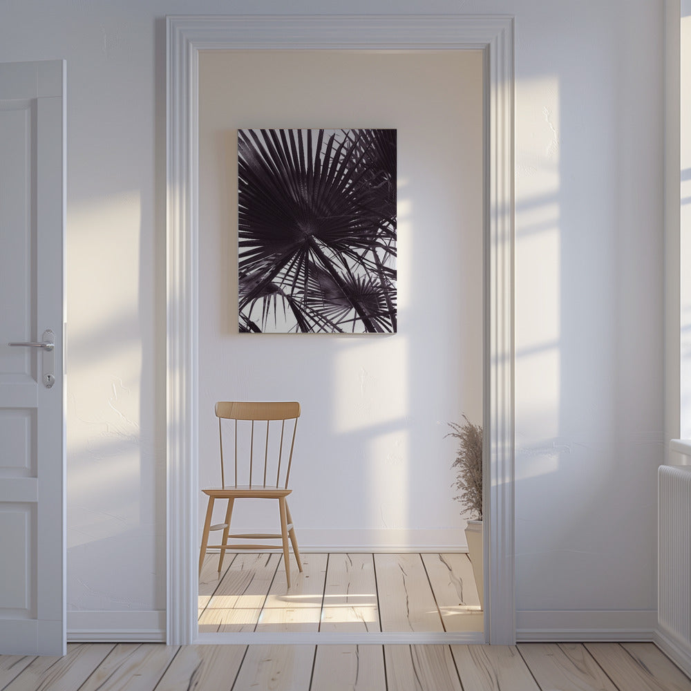 Palm Silhouette | Canvas