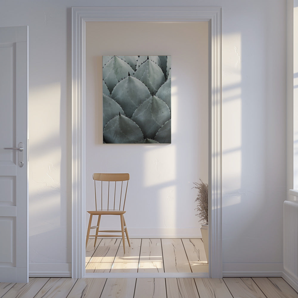 Agave Symmetry | Canvas