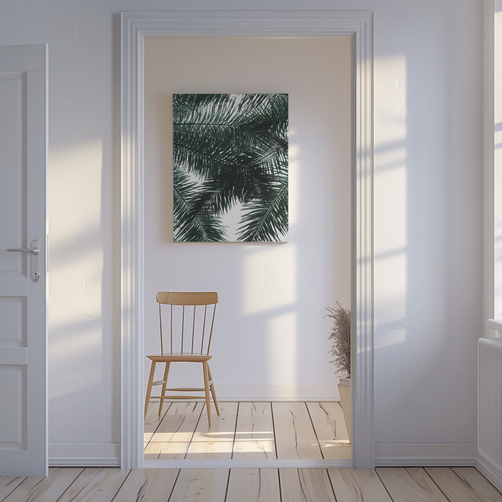 Sunlit Palms Canopy | Canvas