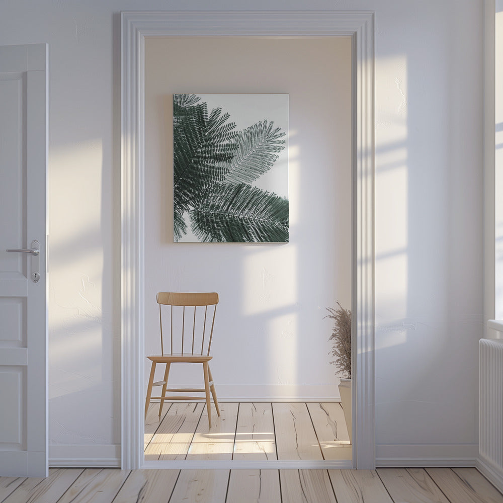 Fern Whispering | Canvas