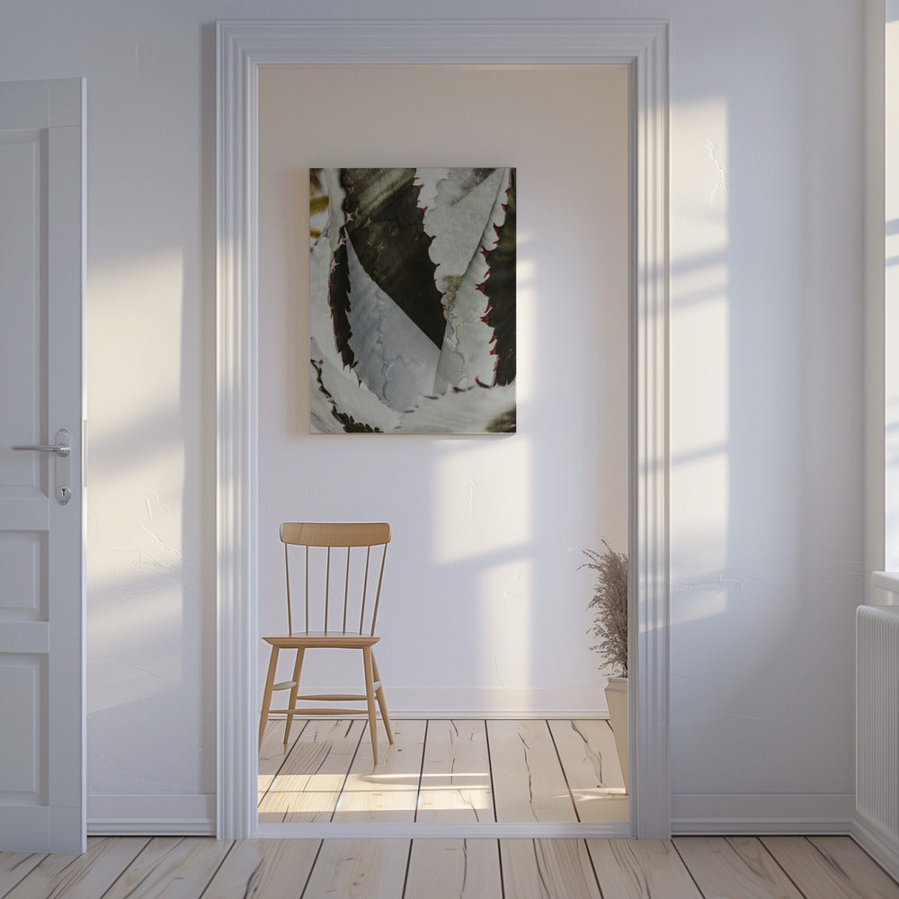 Desert Elegance | Canvas