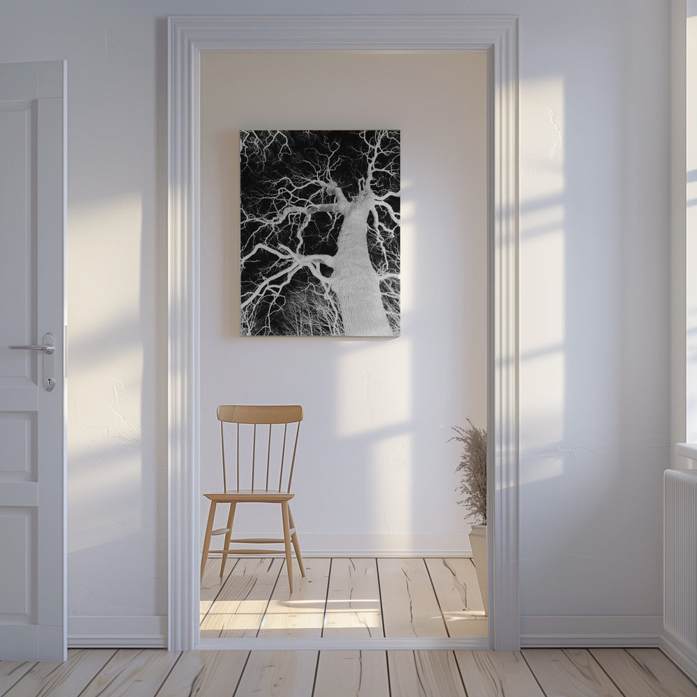 Inverse Arbor Essence | Canvas