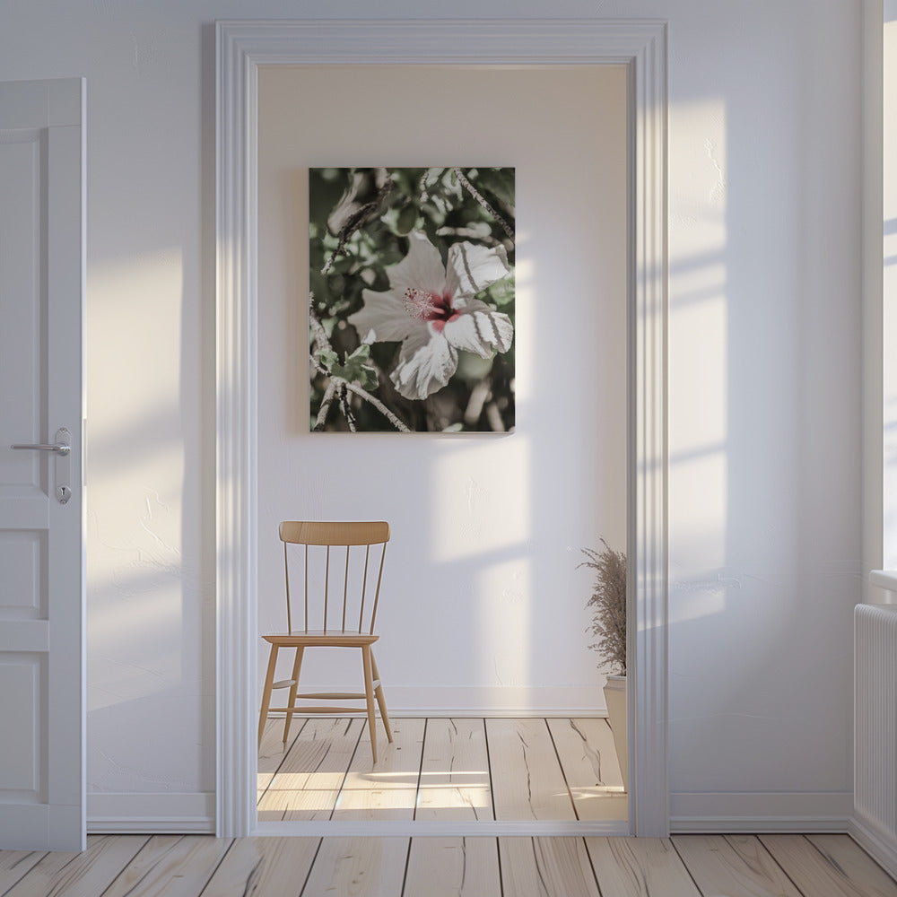 Whispering Blossom | Canvas