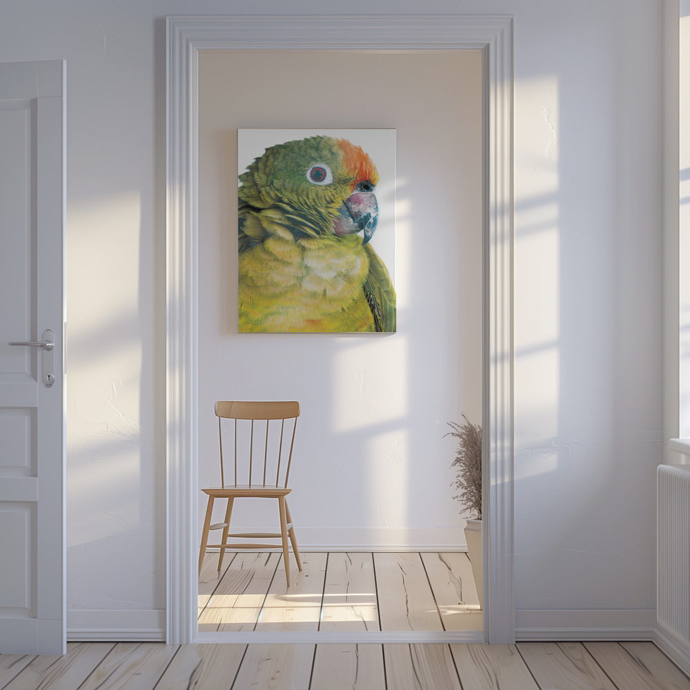 Vibrant Parrot Glance | Canvas