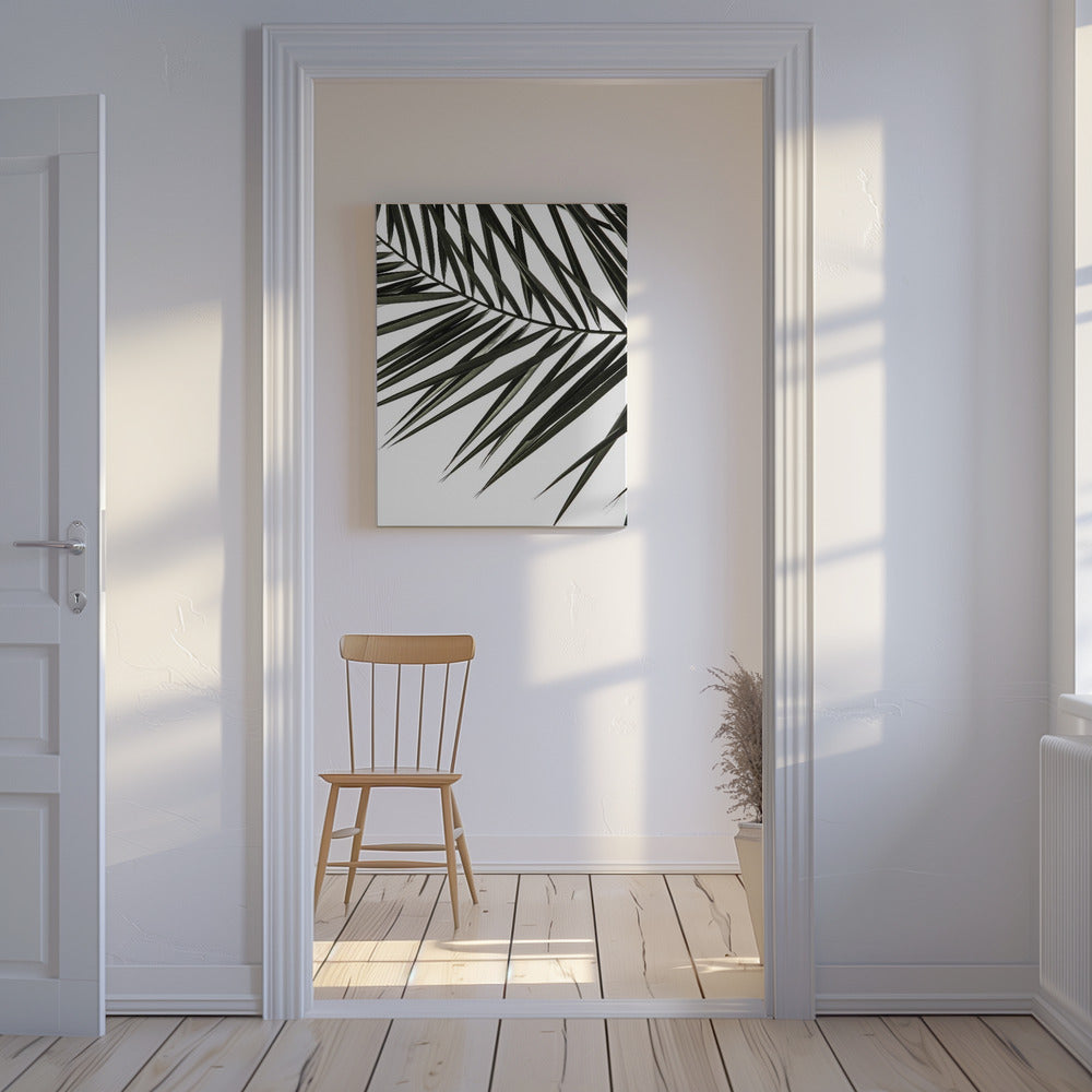 Frond Shadows | Canvas