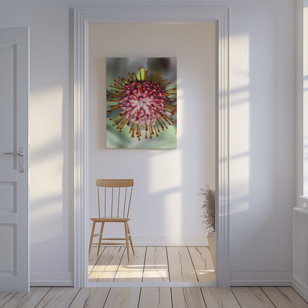 Blooming Radiance | Canvas