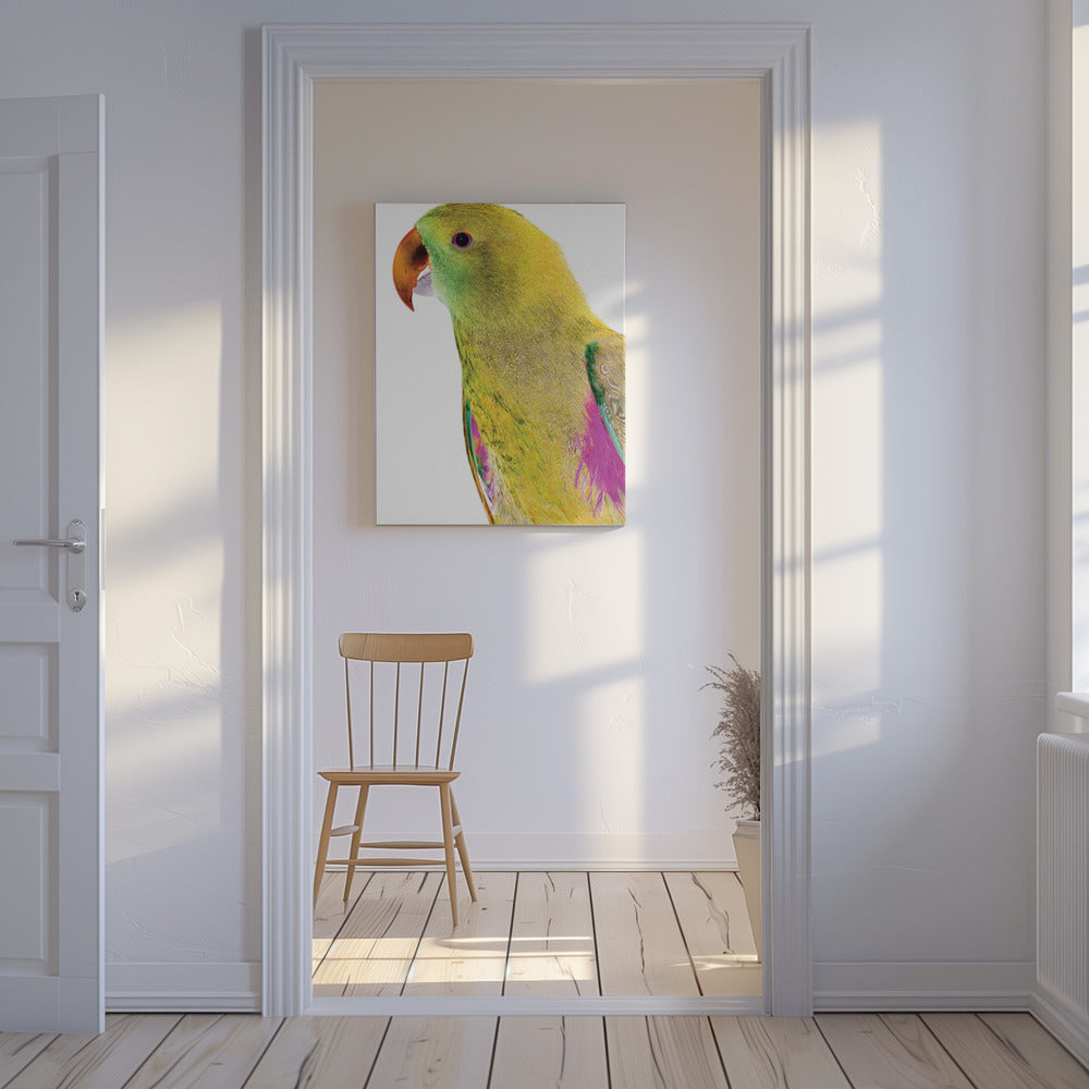 Vibrant Parrot Profile | Canvas