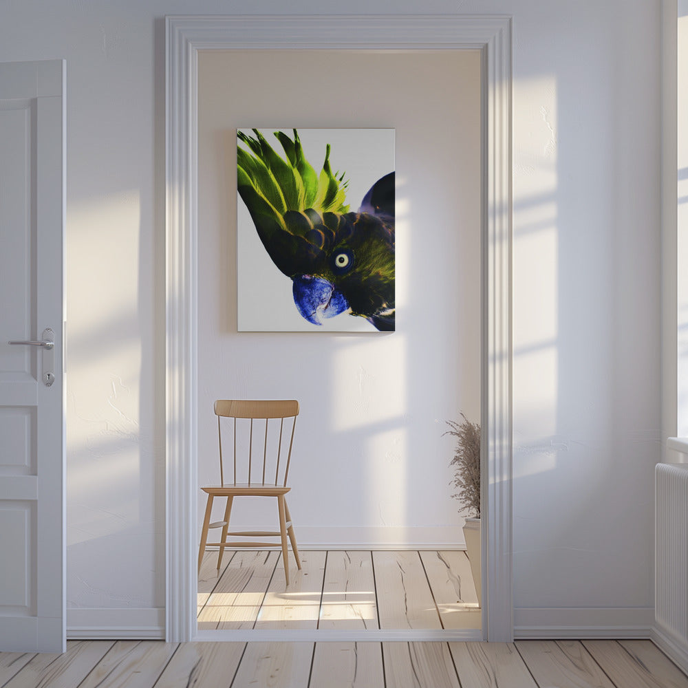 Vivid Bird Glance | Canvas