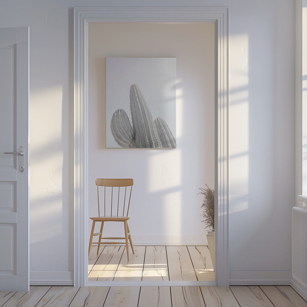 Minimalist Cactus | Canvas