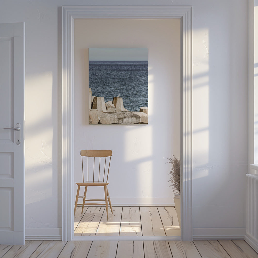 Seagull by the Sea | Canvas