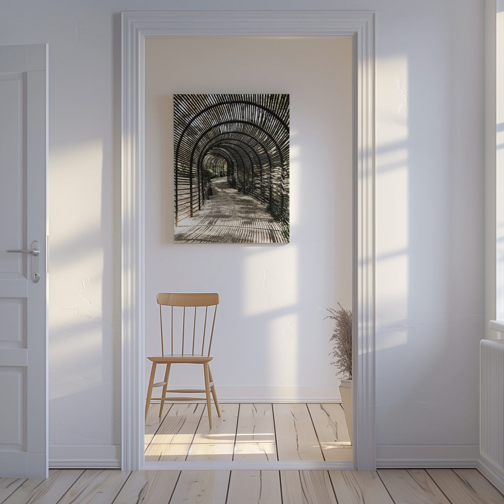 Shadow Garden | Canvas