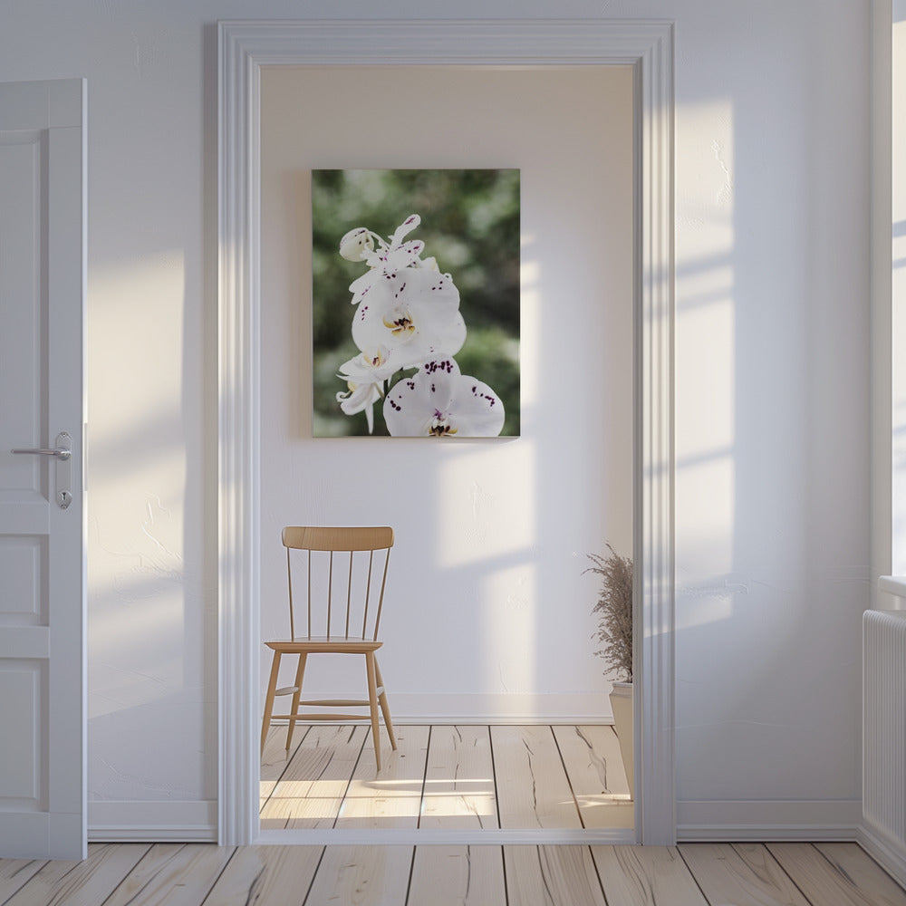 Spring Blooms | Canvas