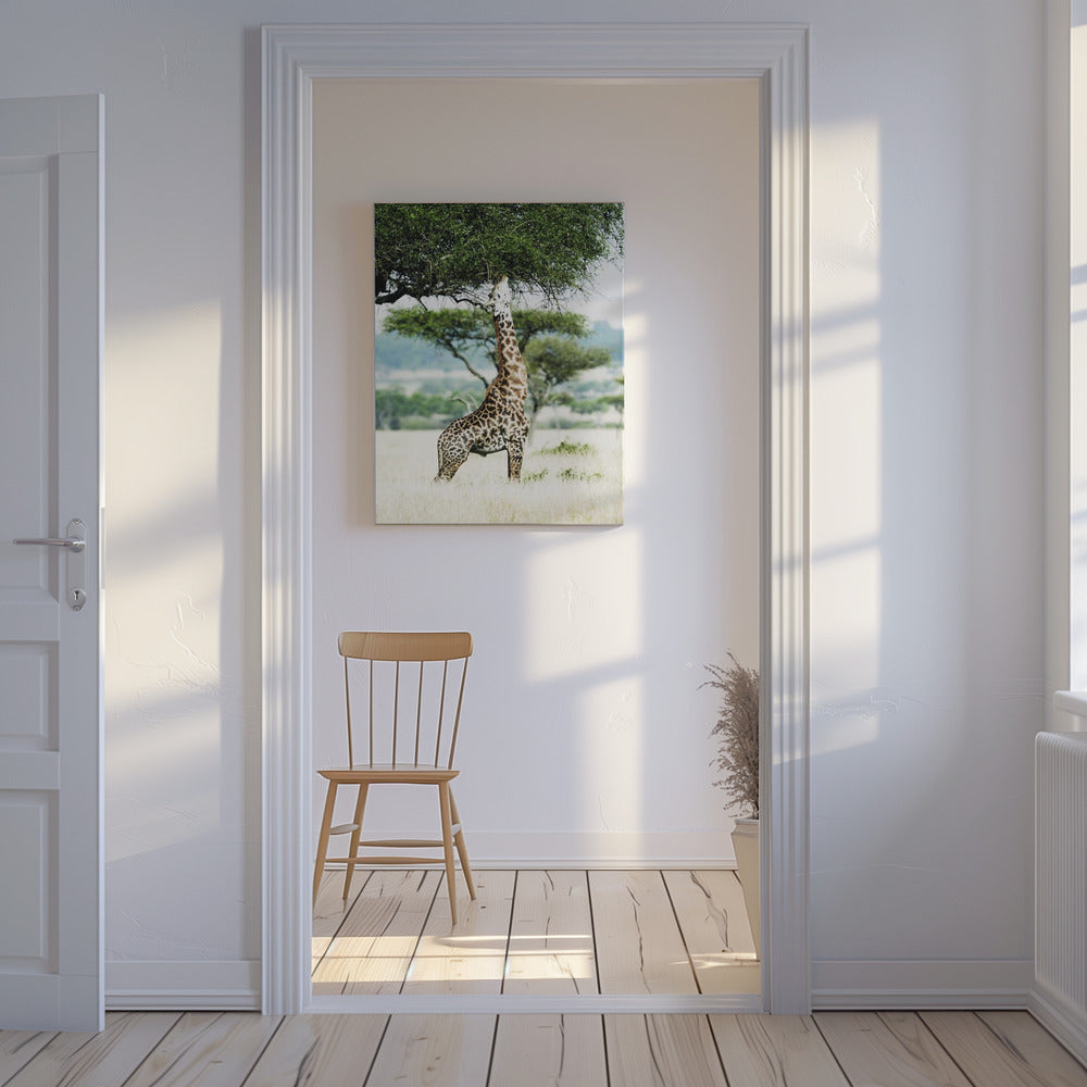 Majestic Giraffe Stretches | Canvas