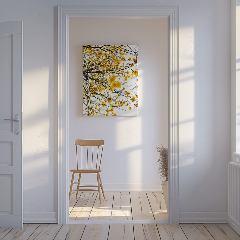 Golden Canopy Burst | Canvas