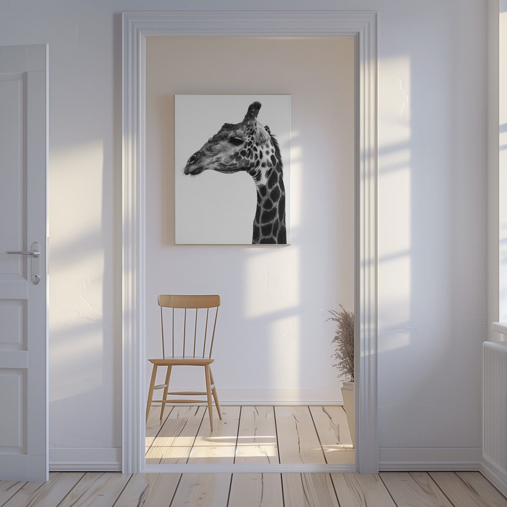 Intricate Patterns Of A Giraffe&#039;s Skin | Canvas