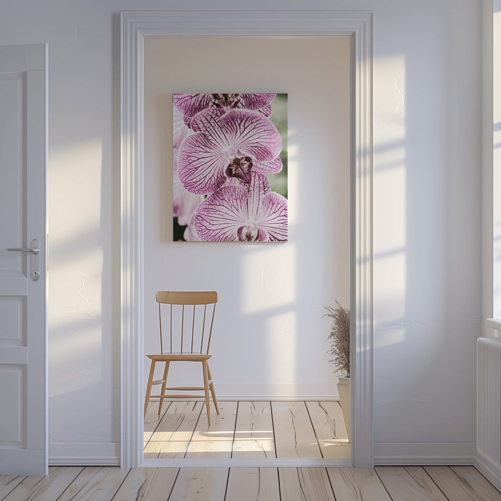 Tiger Blooms | Canvas