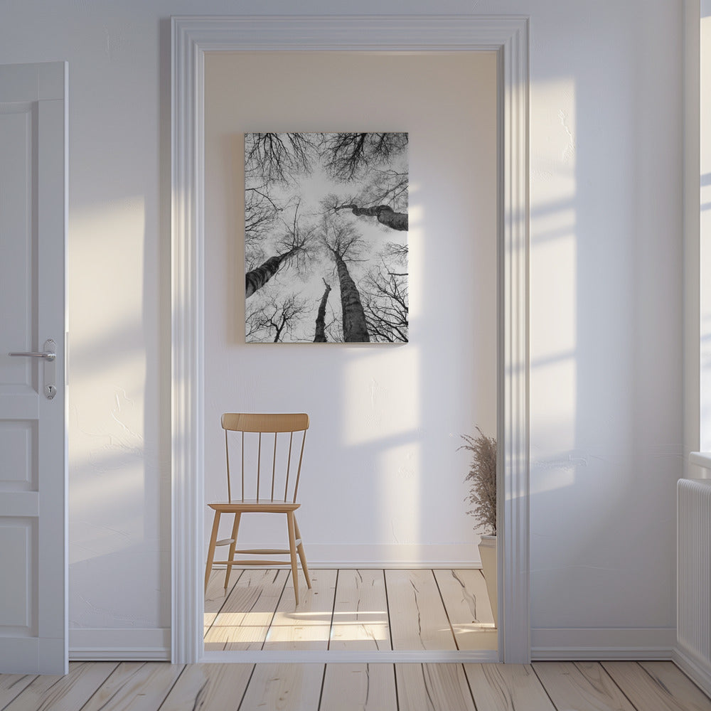 Reaching Branches | Canvas