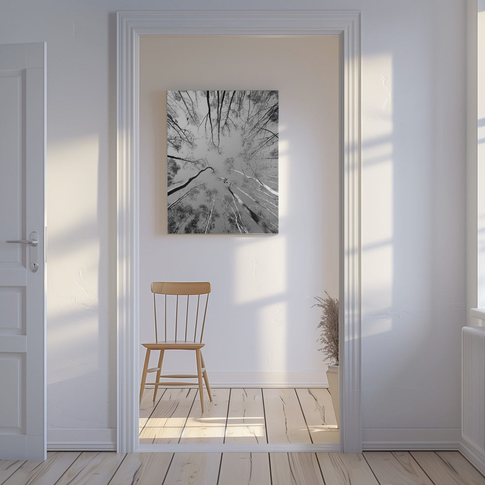 Skyward Symphony | Canvas