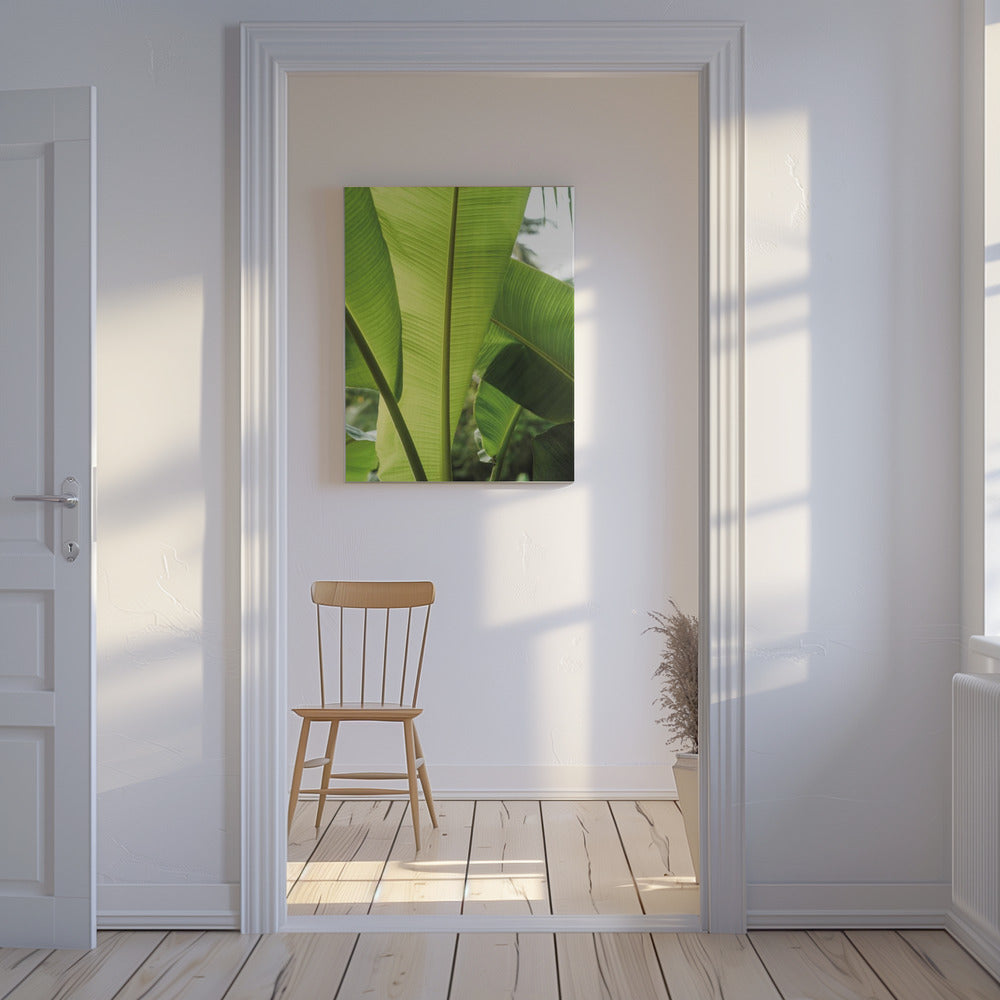 Tropical Banana Leaves | Canvas