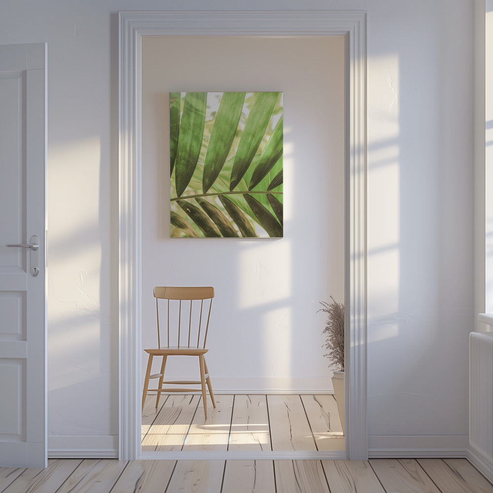 Beauty Of Palm Leaves | Canvas