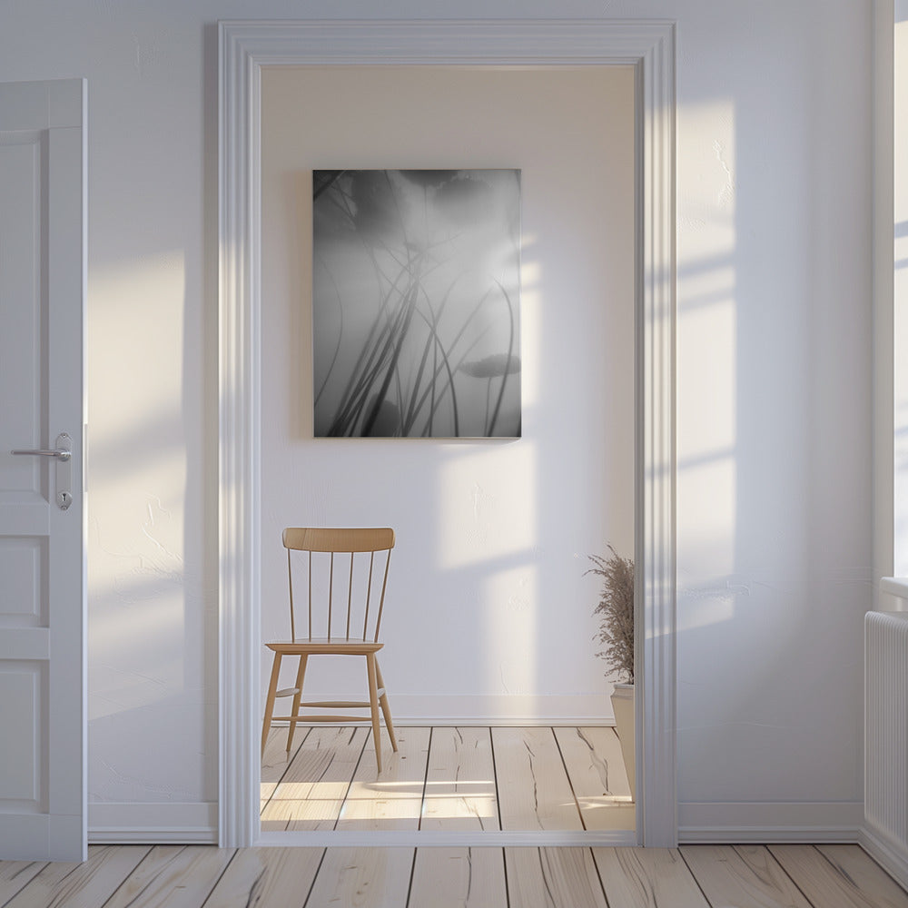 Water Lilly | Canvas