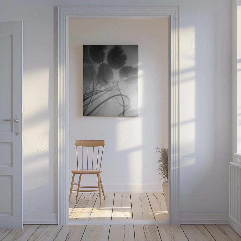 Water Lilly | Canvas