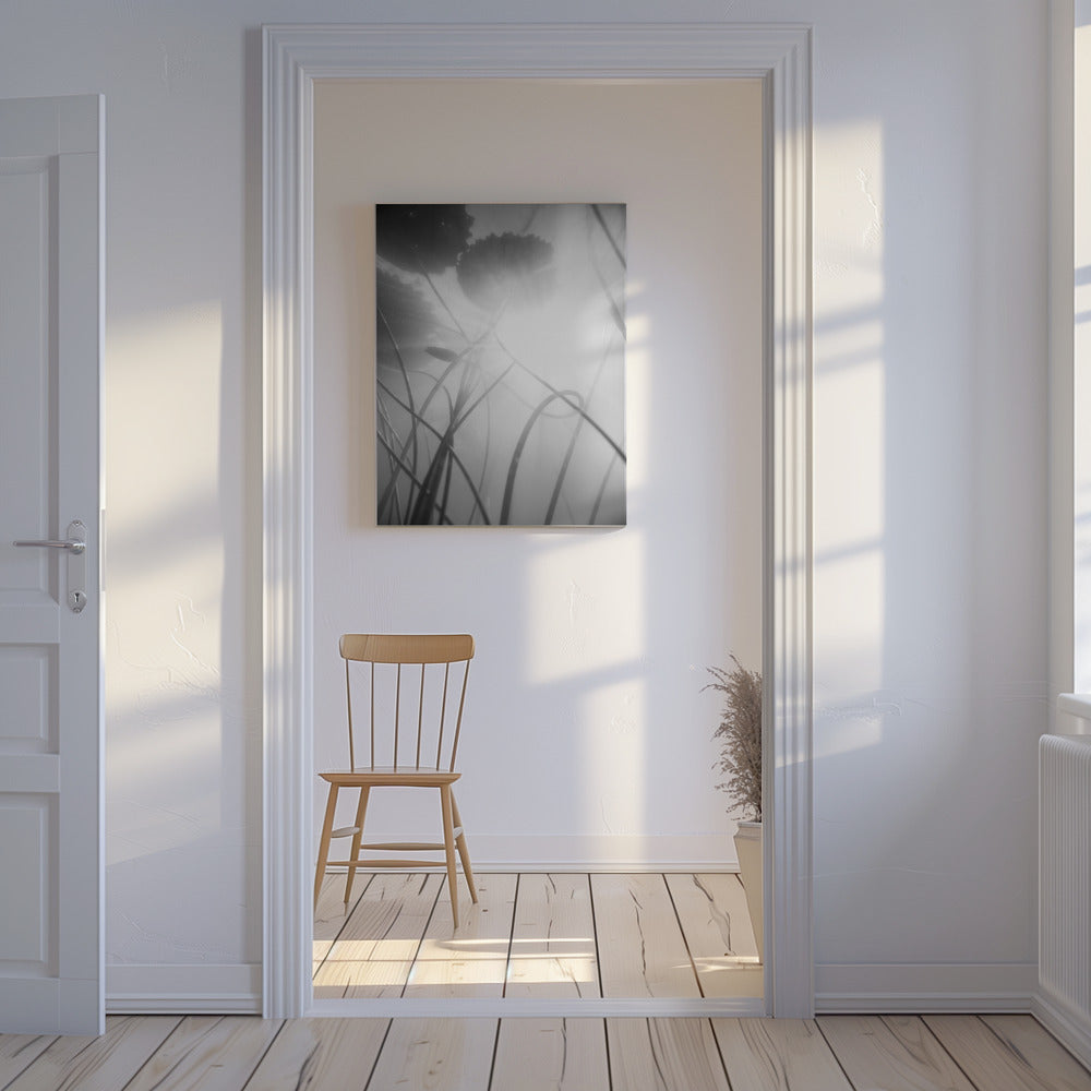 Water Lilly | Canvas