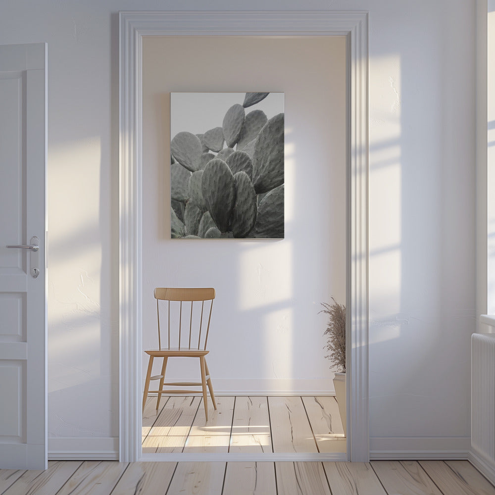 Beauty Of Cactus | Canvas