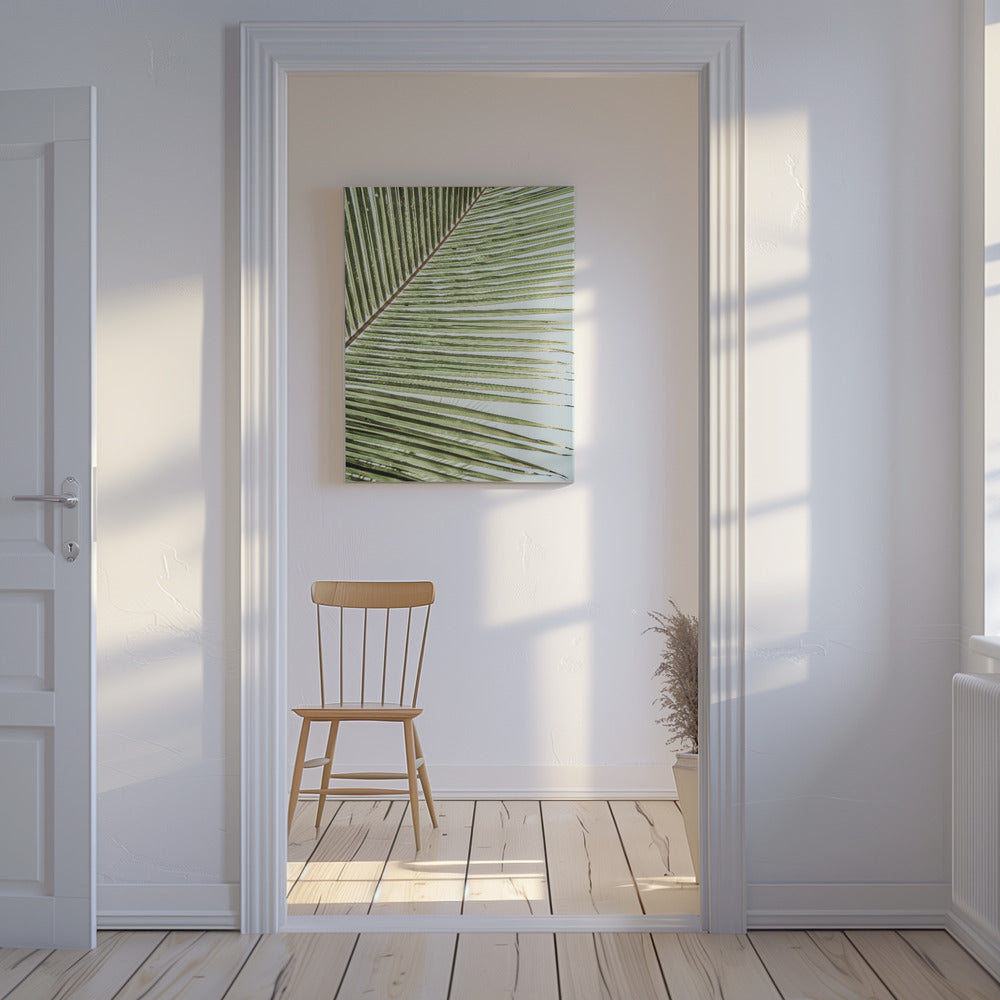 Intricate Pattern Of A Green Palm Leaf | Canvas